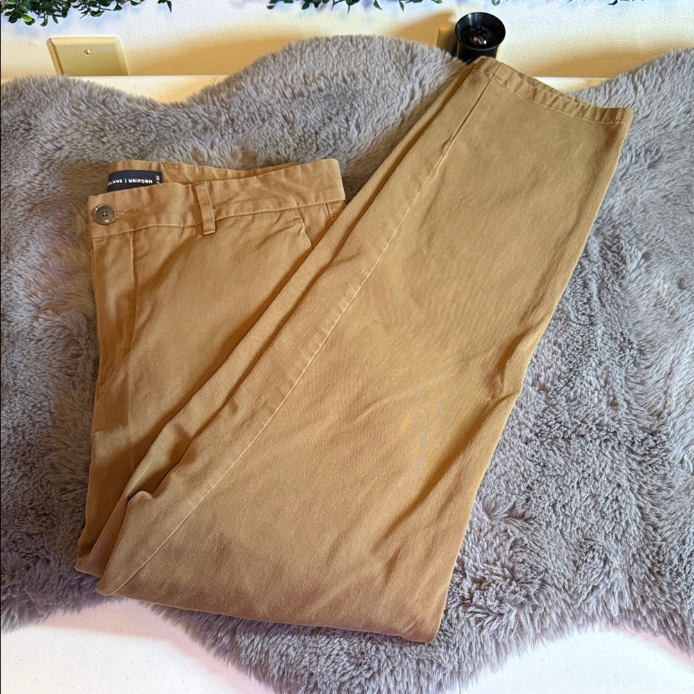 Men's Everlane Tan Chino Pants